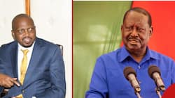 Moses Kuria Admits Ambassadors Helped to Secure William Ruto's Victory at Bomas: "Kulikuwa na Hatari"