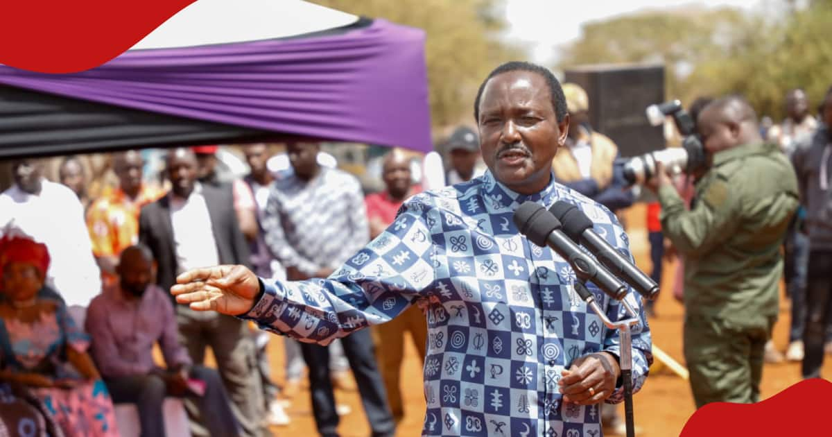 Kalonzo Musyoka Missing As Azimio-Kenya Kwanza Bipartisan Talks Resume ...