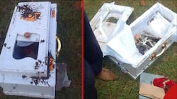 Makueni Locals Seek Pastors' Help after Waking up to Bizarre Small Coffin Filled with Horns, 4 Eggs