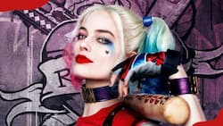 Harley Quinn movies in order: Which one should you watch first?