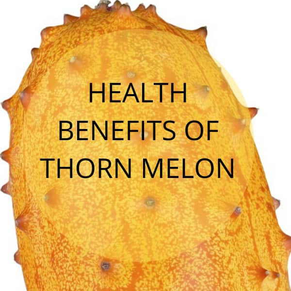 Nutritional benefits of thorn melon