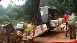 Nyamira: Police Recover 540 Cartons of New Text Books Abandoned in Kaptagat Forest