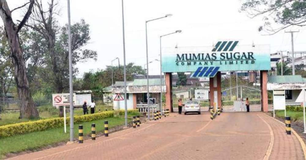 KCB has lost sole control over debt-ridden Mumias Sugar Ltd.