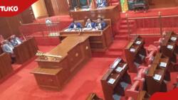City Hall: Nairobi MCAs Skip Assembly Sessions, Gallivant at Lounge as House Businesses Stall
