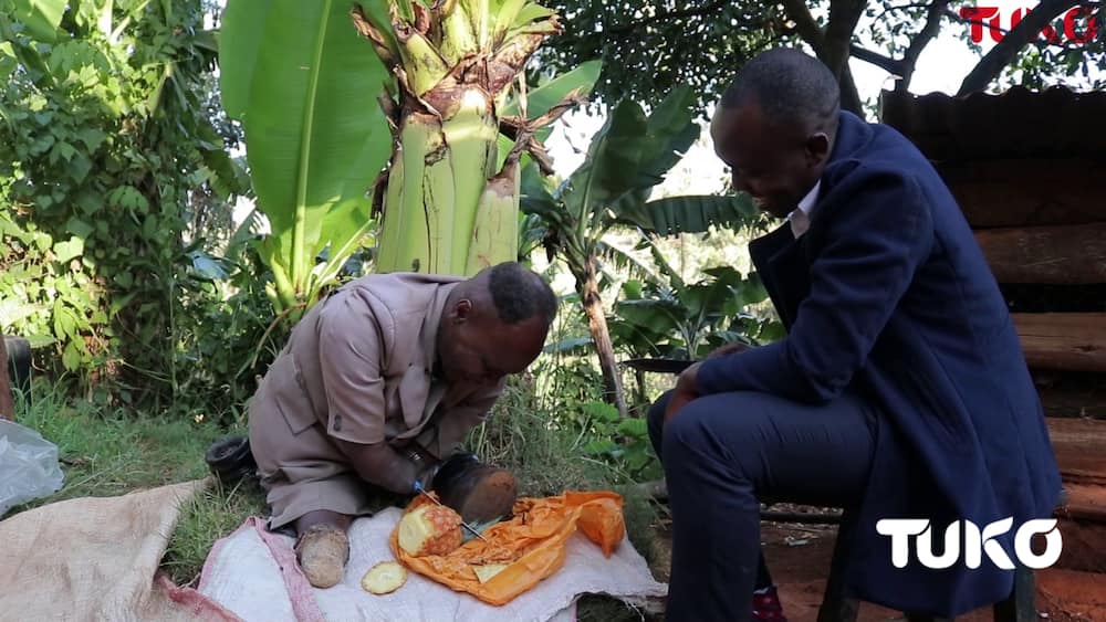 Meet 66-year-old Kiambu farmer with no arms and feet but can slice a pineapple like a pro