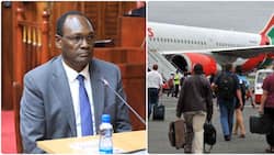 Treasury PS Nominee Chris Kiptoo Proposes Kenya Airways Sale to Foreigner