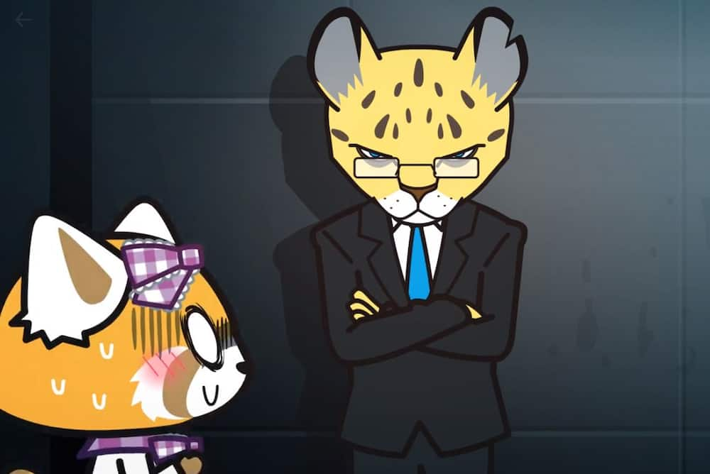 All Aggretsuko characters