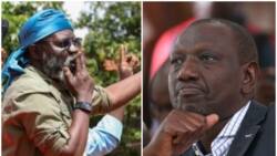 George Wajackoyah's Popularity in Nairobi Rises to 7% as William Ruto's Reduces to 25%, New Poll