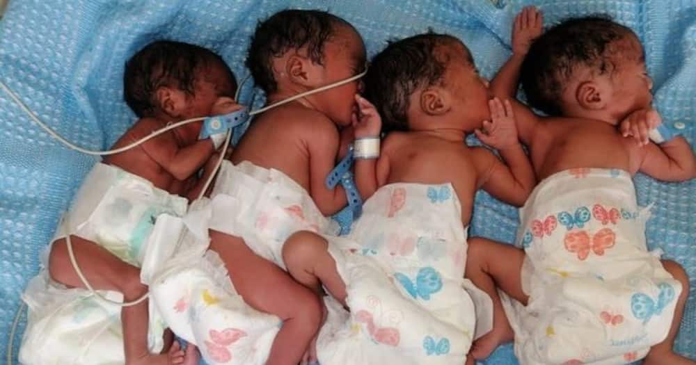 Kiambu: 25-Year-Old Woman Gives Birth to Quadruplets, Calls on Well-Wishers to Help Her