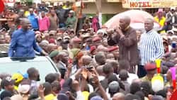 Mkulima wa Murang'a Ampa William Ruto Mbuzi, Mahindi Mabichi Anapozuru Mlima Kenya: "Tumefurahi Sana"