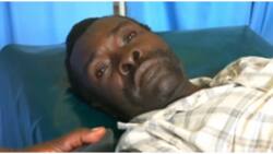 Kakamega Man Nurses Groin Injuries After Being Bitten by Female Neighbour: "Nilivumilia kama Mwanaume"