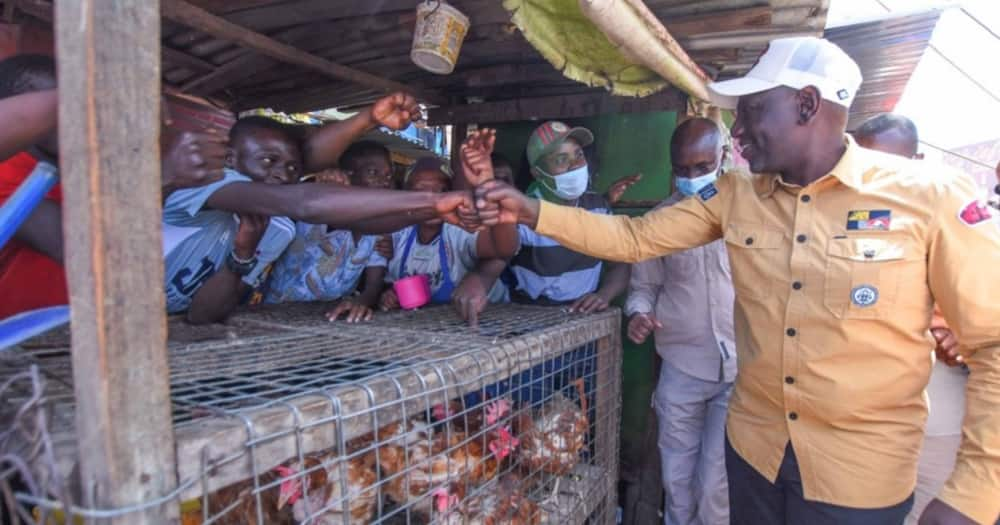 Deputy President William Ruto. Photo: William Ruto.