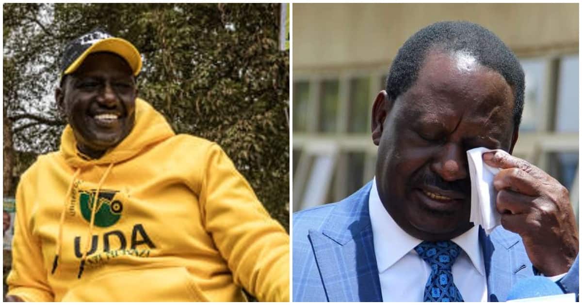 Election 2022 Wrapped: New Poll Shows DP Ruto Leading With 53.1% against Raila's 44.2%, 4 Other Viral Stories