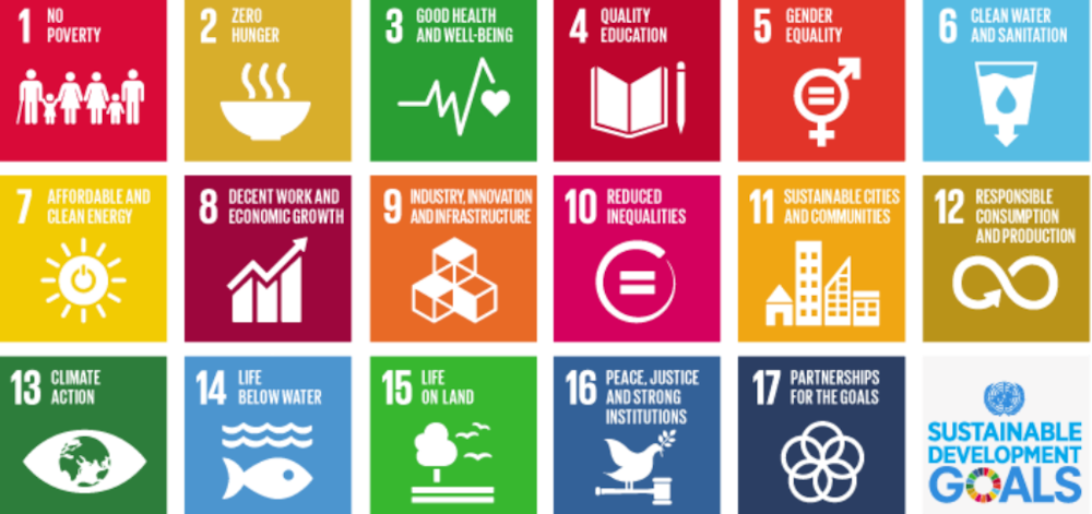 TUKO.co.ke becomes member of United Nation’s Sustainable Development Goals Media Compact