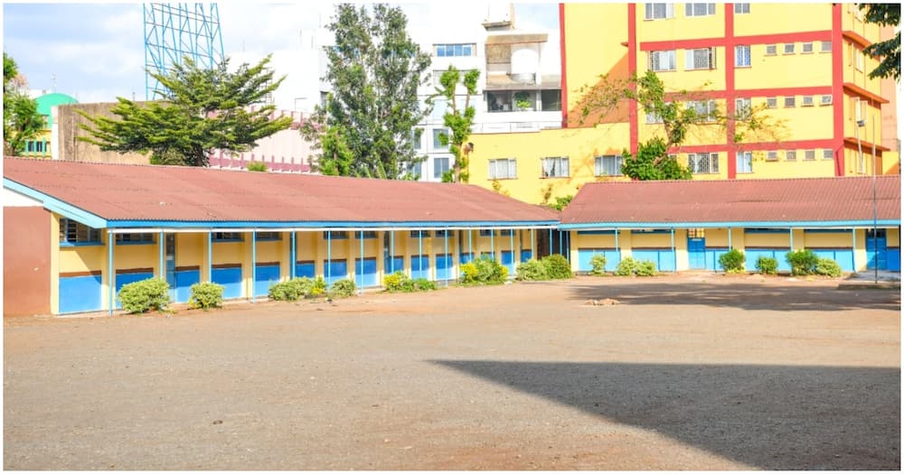 Moi Avenue Primary School. Photo: Jaguar.