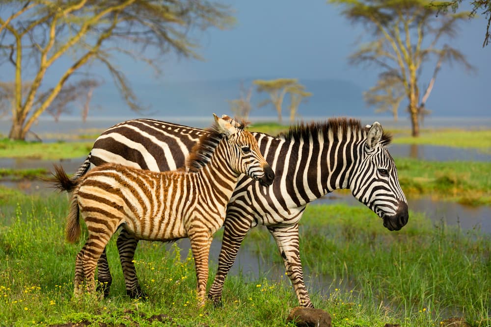 romantic places for couples to visit in Nakuru