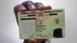 How to check ID status in Kenya? Complete guide with infographic