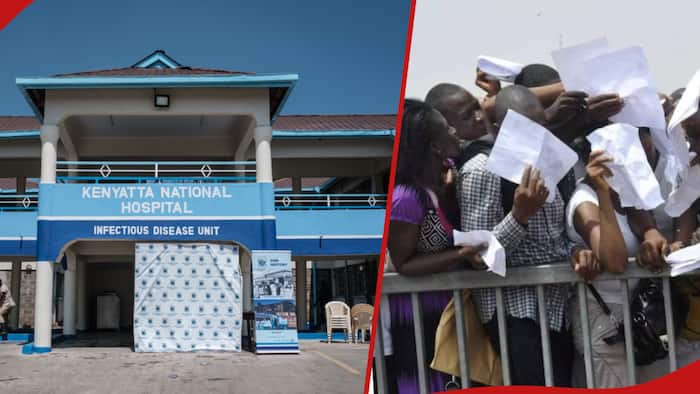 KNH Denies Advertising for 1,446 Well-Paying Jobs for Kenyans: "Scam Alert"