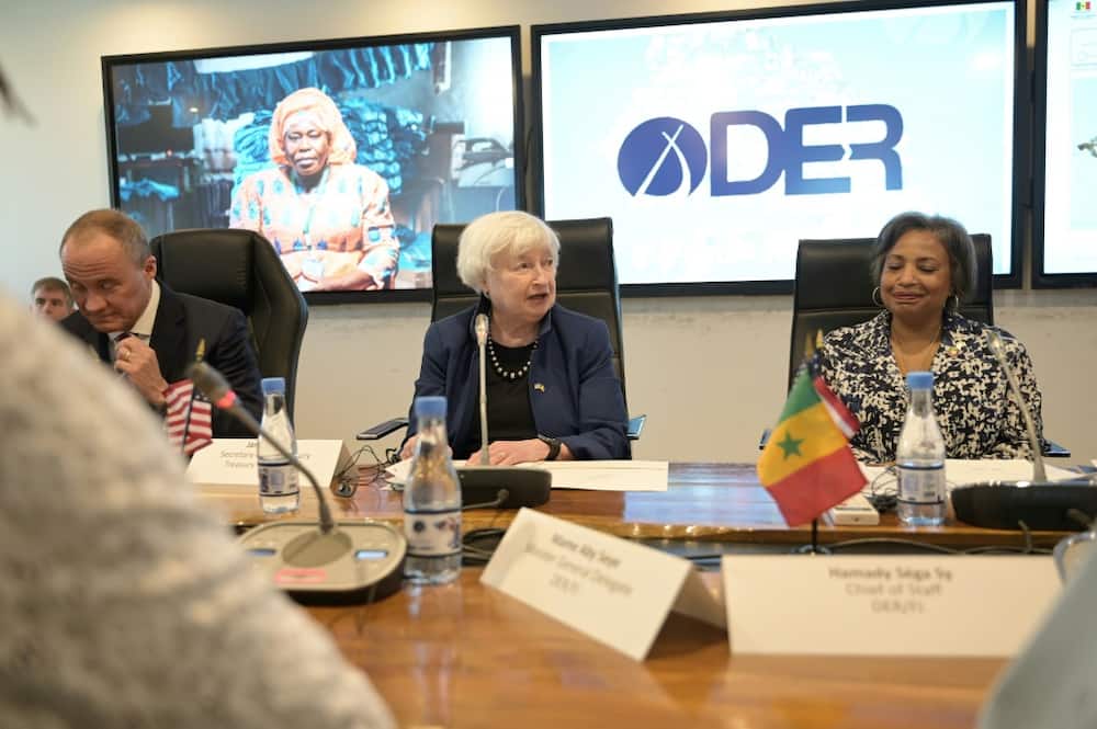 Yellen highlighted the African continent's promising demographics