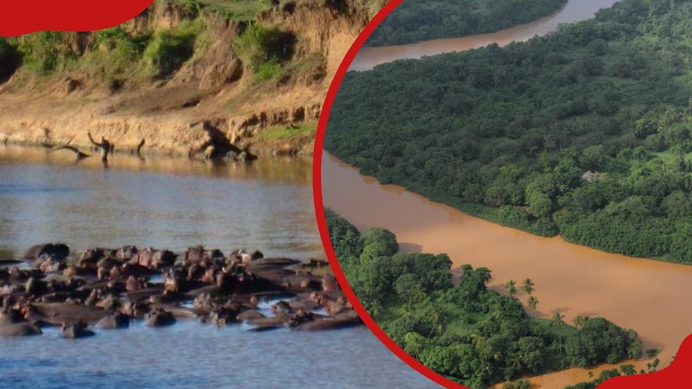 A collage of the Mara River and the Tana River