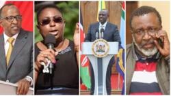 William Ruto's Cabinet: Misses and Hits in President's Executive Team