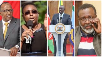 William Ruto's Cabinet: Misses and Hits in President's Executive Team