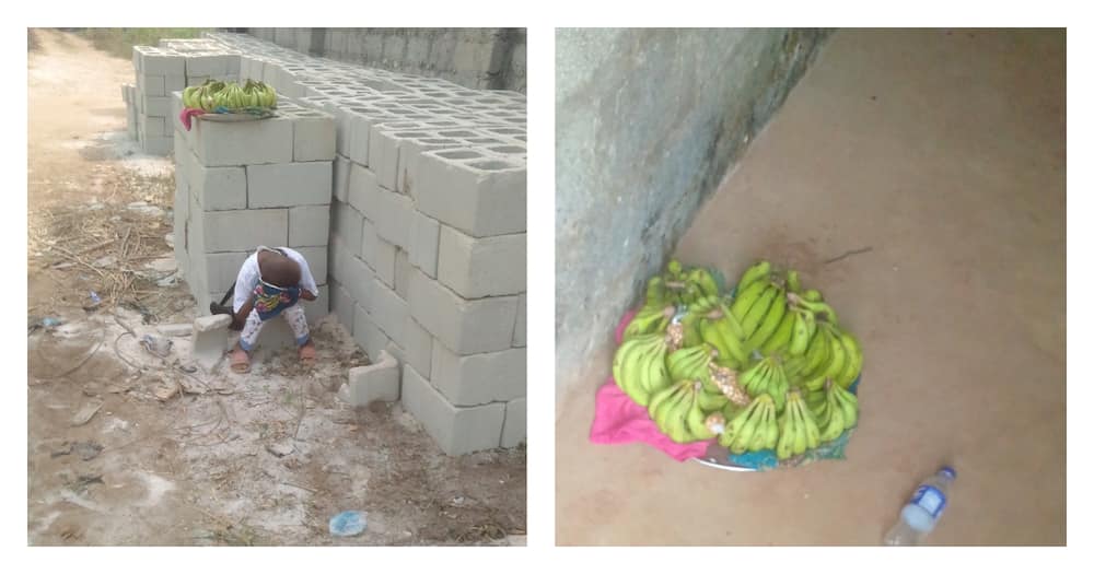 Kind stranger offers resting place for tired pupil who hawks bananas after school