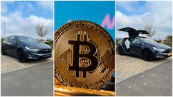 Young Man Buys Tesla Electric Car, Says Trading Bitcoin Cryptocurrency Gave Him Money