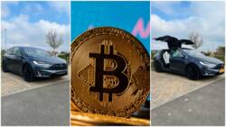 Young Man Buys Tesla Electric Car, Says Trading Bitcoin Cryptocurrency Gave Him Money