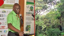 Nairobi: Conservationists Call for Collaboration in Restoring Kakamega Forest Ecosystem