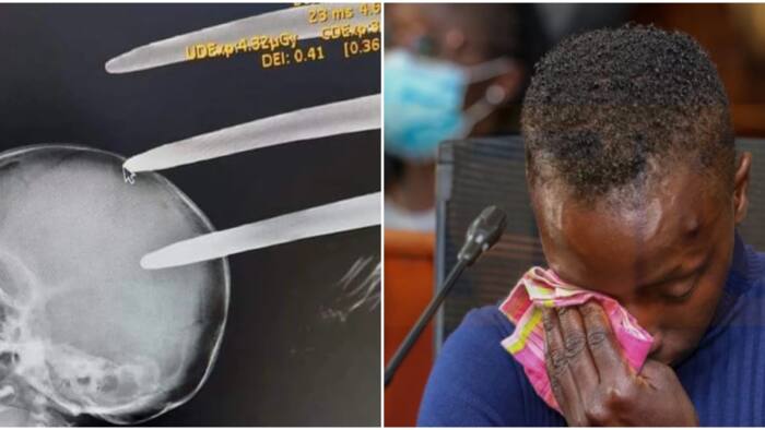 Boy with Fork Jembe in Skull Waited for 14 Agonising Hours at KNH, Senate Committee Told