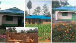 Kakamega Woman Who Worked as Househelp Earning KSh 4k Per Month Builds KSh 800k House