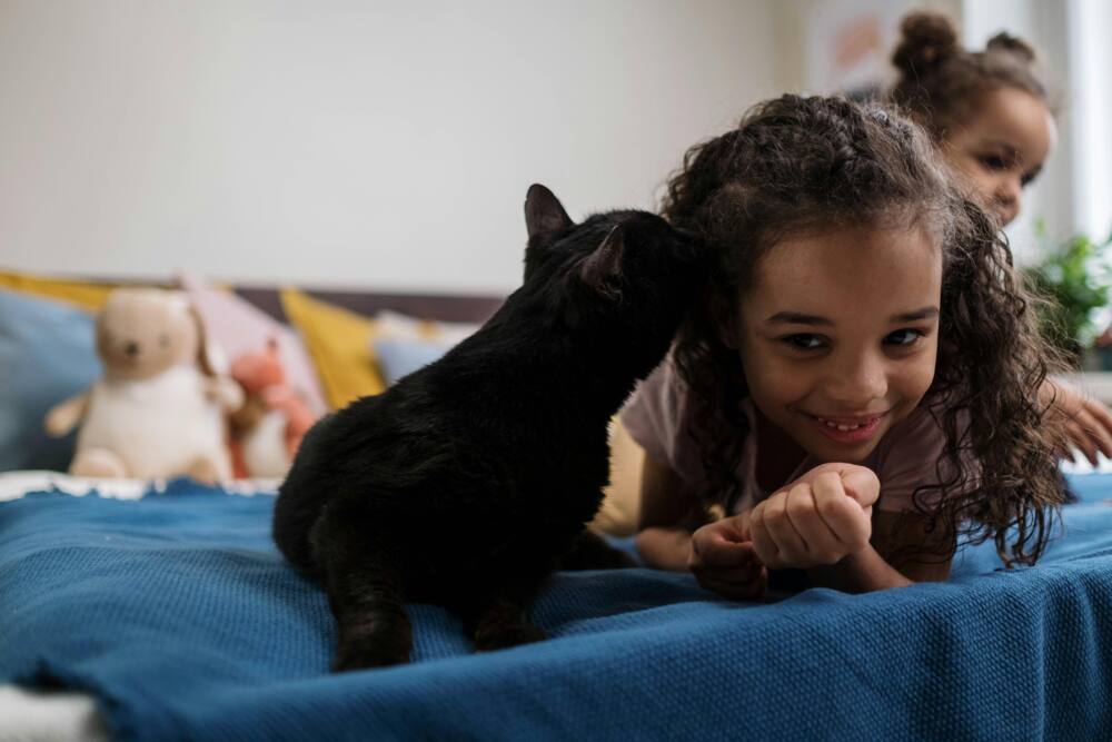 A black cat is cuddling with a young girl