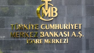 Turkey's 'genius' central banker faces high expectations