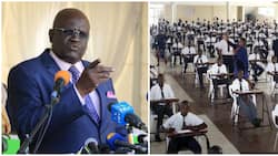 KCSE 2021: George Magoha Cancels Results of 441 Candidates over Cheating