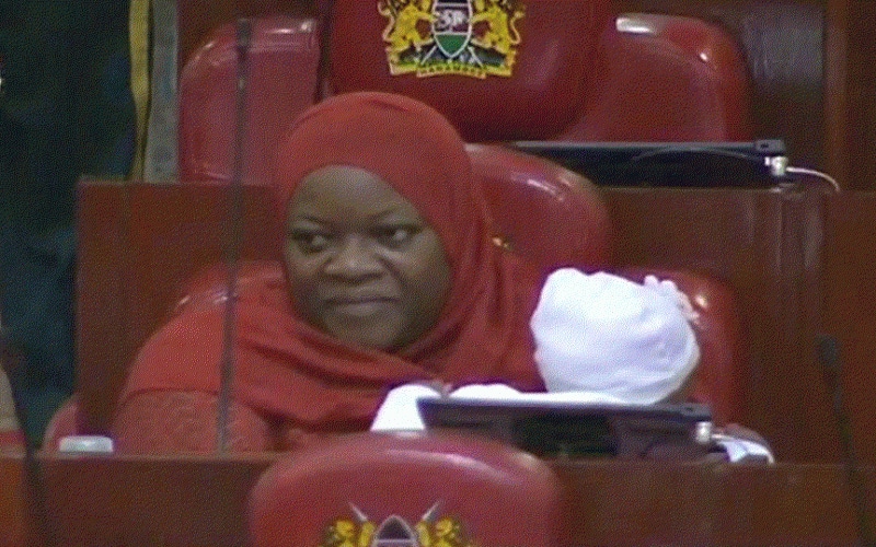 Deputy Speaker Moses Cheboi slams MP Zulekha Hamisi for sneaking baby into chambers