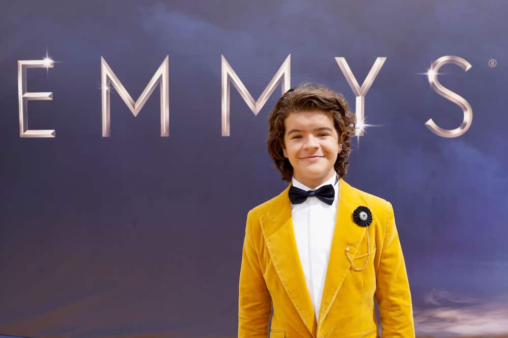 What is Noah Schnapp's Net Worth?