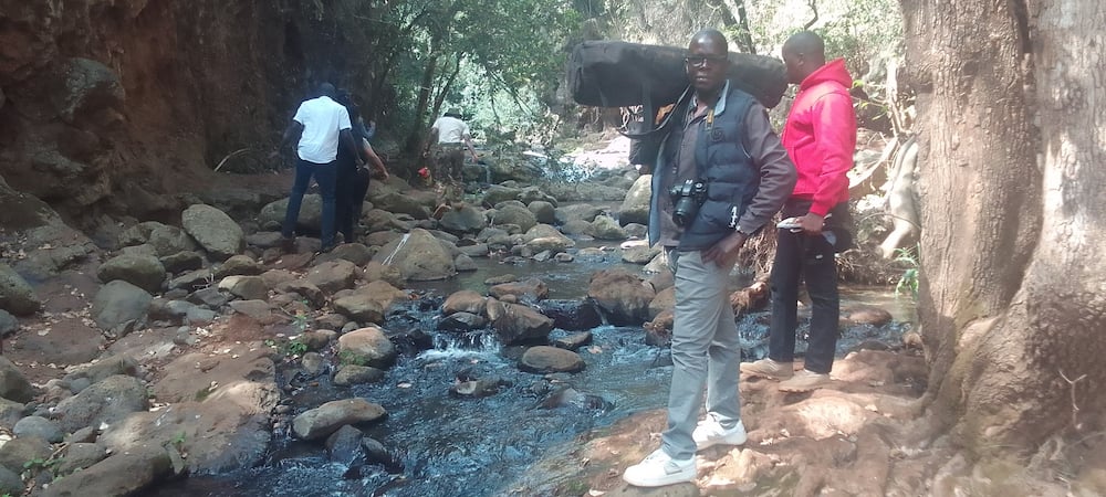 Ngare Ndare Forest in Meru county