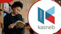 KASNEB fee structure: Examination, registration and other fees