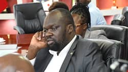 Robert Alai Drafts Motion to Compel Nairobi County to Build Integrated Transport System to Ease Traffic