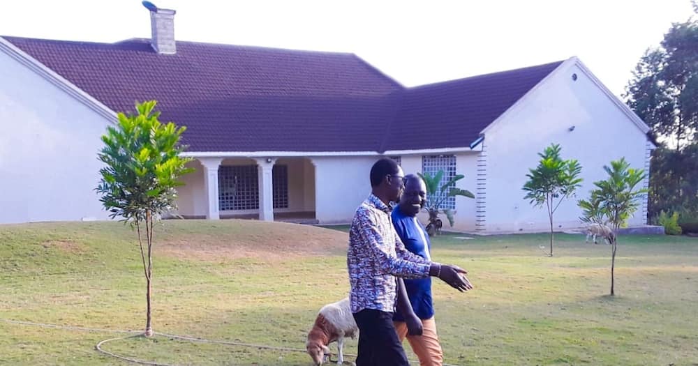 Didmus Barasa welcomes William Ruto to his palatial mansion in Kimilili.