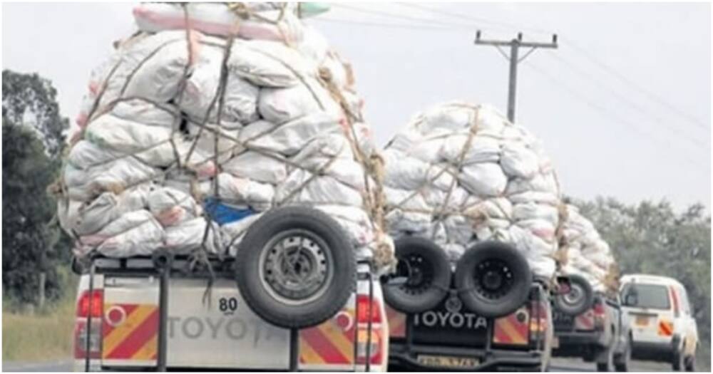 Miraa Drivers Say They're Learned, Takes 1 Year to Master Top Speed Driving Skills