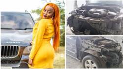 Nadia Mukami Forced to Repair Clients’ Expensive SUV after Unremorseful Employee Crashed It: "Jamani"