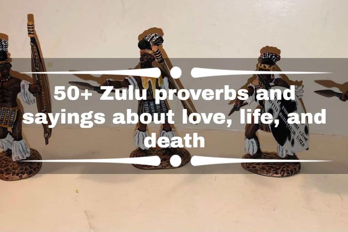 Love Zulu Quotes / Pin On Black Men | The Hot News Update