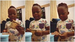 Nigerian Boy Tells Father His Generous Intent for Saving in Cute Clip: "I Want to Help"