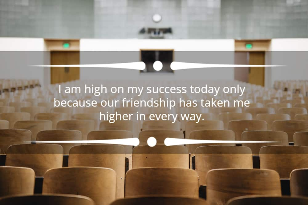 high school life quotes