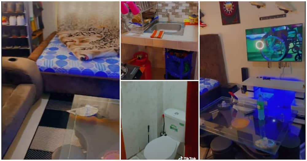 One-room, man flaunts his one-room apartment with toilet, he is clean, fine inteior of one-room house
