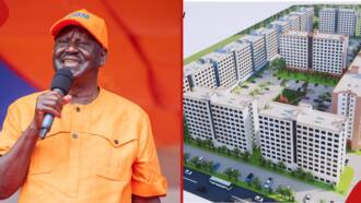 Raila Odinga Asks Employers Not to Remit Housing Levy after Court's Judgement: "Unconstitutional"