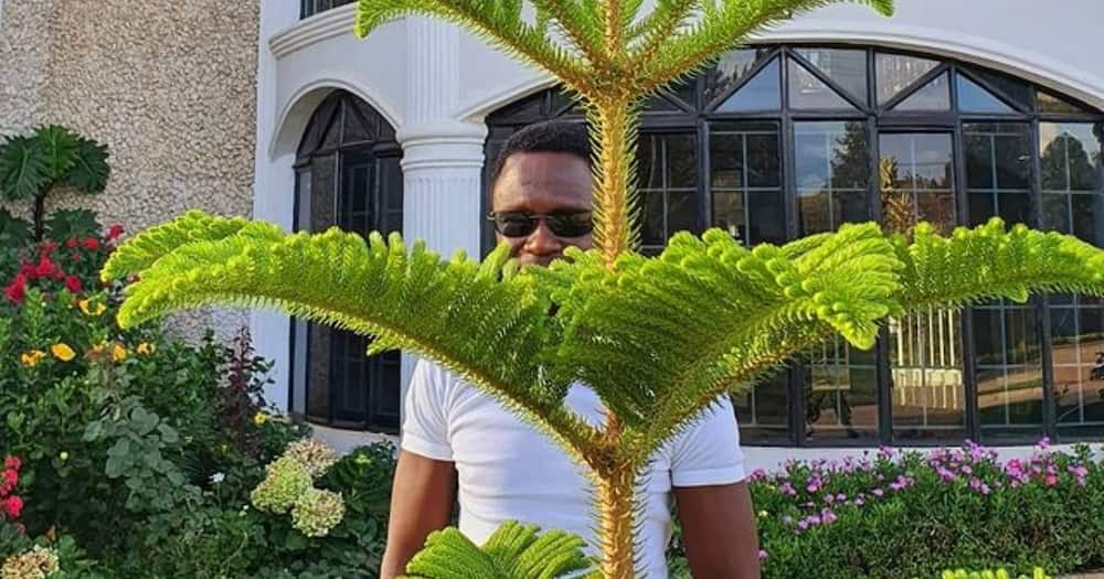 Stunning Photos of Ababu Namwamba's Palatial Karen Mansion