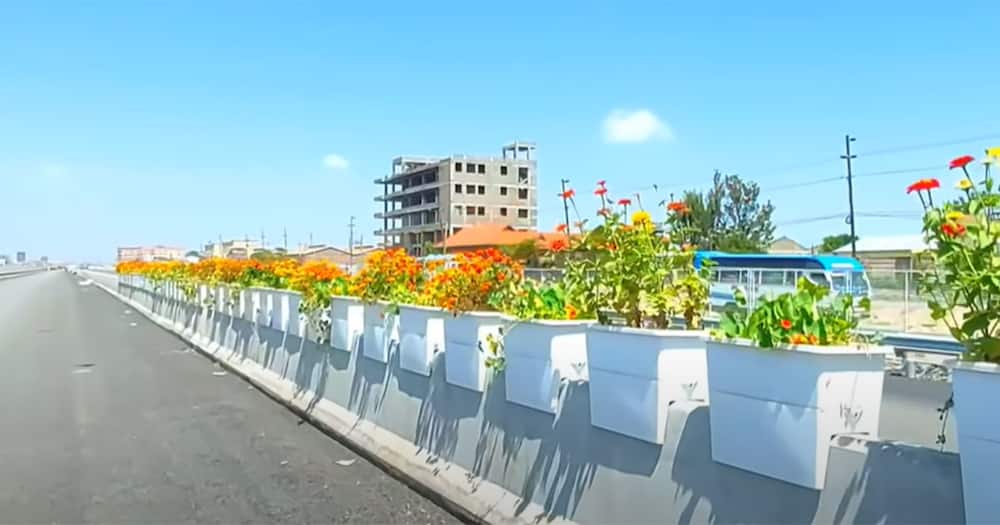 Nairobi Expressway beautification.